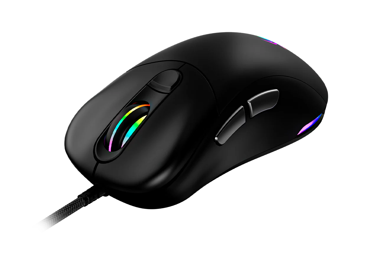 Mouse Gamming
